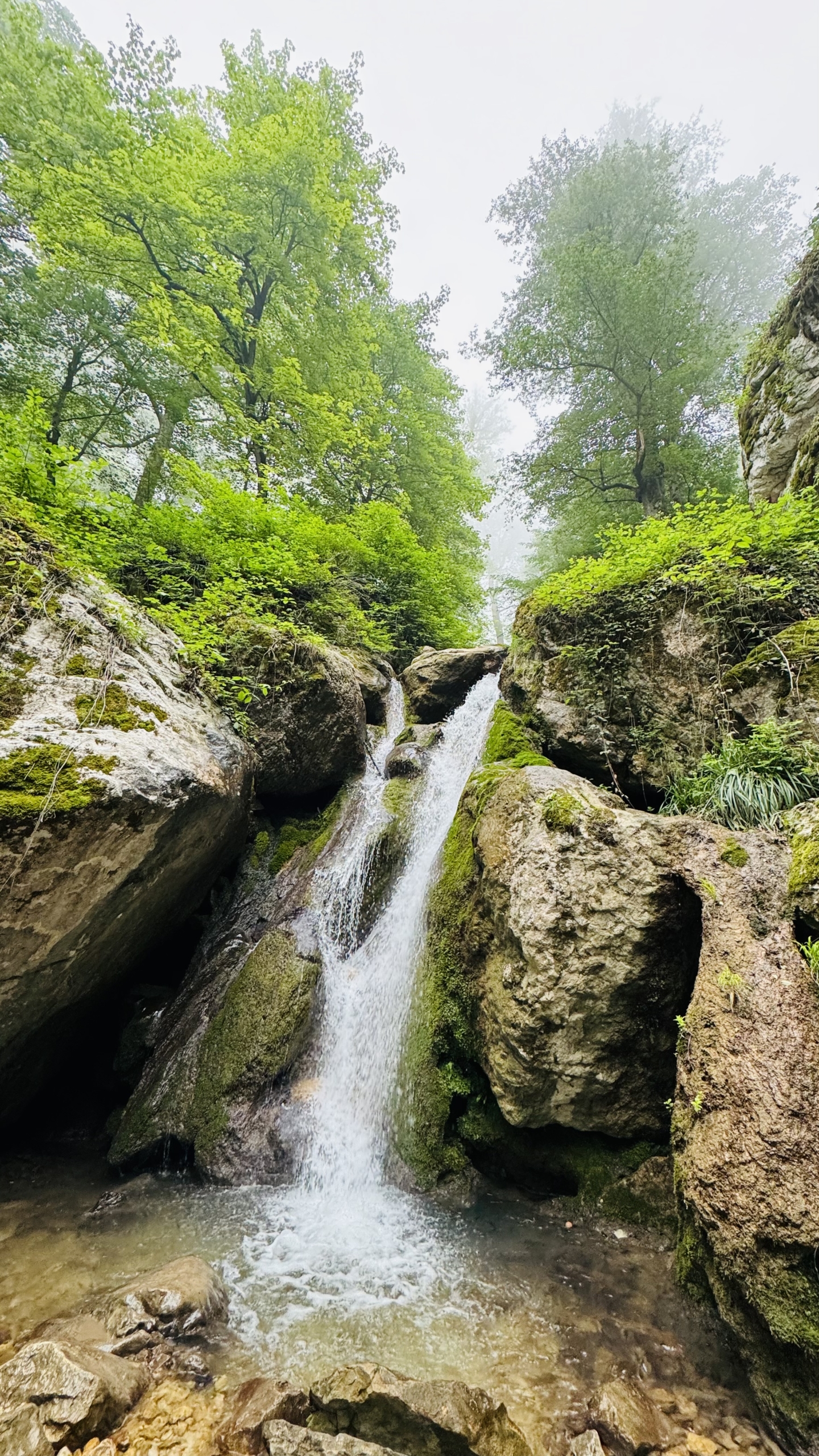 یکی از جاذبه های گردشگری ییلاق پشمکی